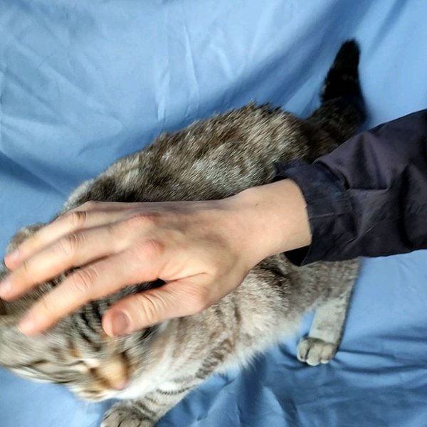 Thumbnail of p-comrqdomokl-0b8547962da04c32 5