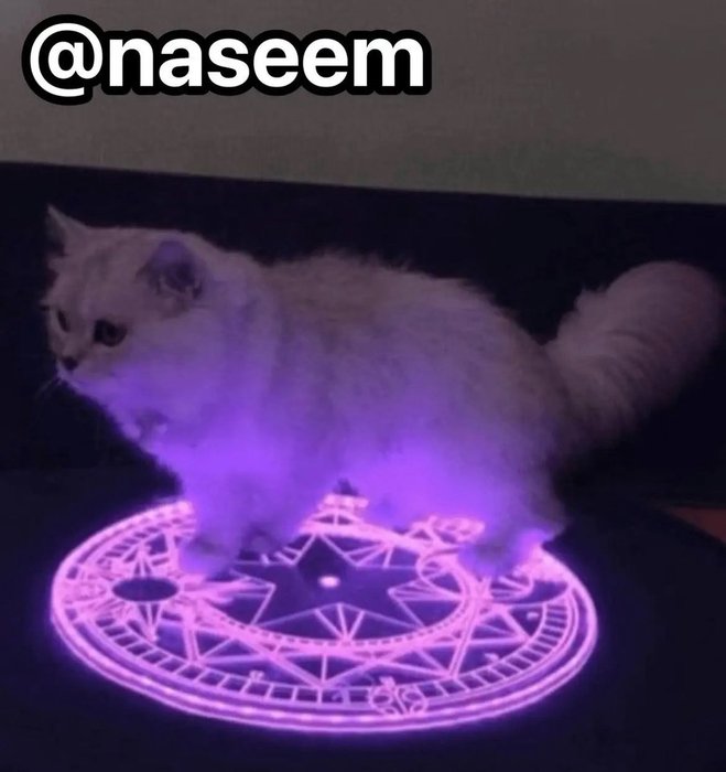 Thumbnail of www-x-com-starplatinum-status-1959981929648013401-0b8d16c770394718