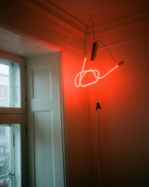 Thumbnail of p-ccdnj2jszdp-0b951bce82d34ac9 1