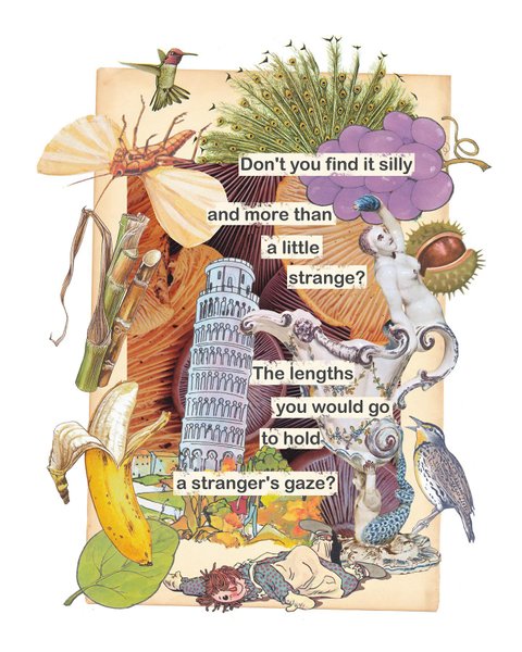 Thumbnail of p-c1ckfqcoaxt-0bade96a13ab436e 2