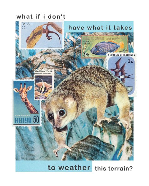 Thumbnail of p-c1ckfqcoaxt-0bade96a13ab436e 3