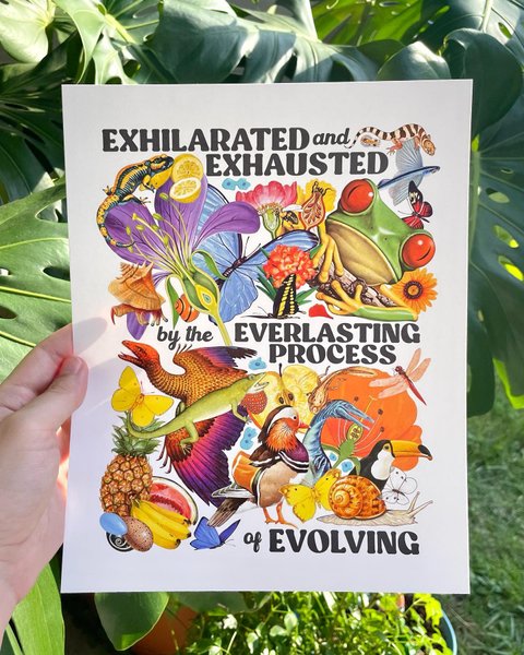 Thumbnail of p-c1ckfqcoaxt-0bade96a13ab436e 4