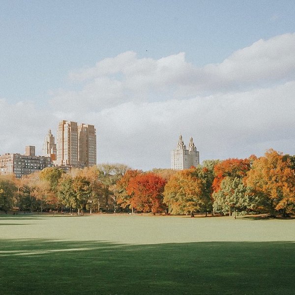 Thumbnail of p-bqbh5gcgqwz-0bd1a3dba3b94981 0