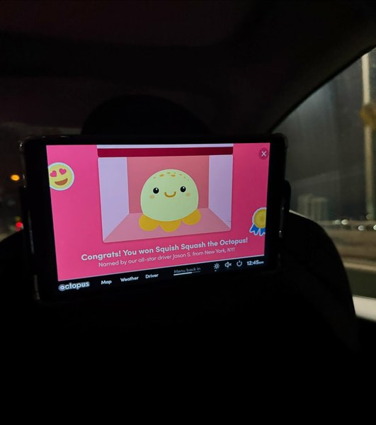 Thumbnail of p-da1jxbdrkau-0bddaf42158d4e71 11