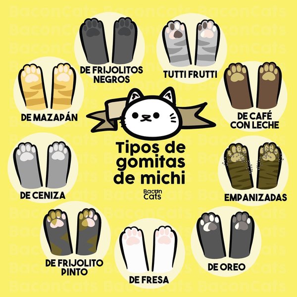 Thumbnail of p-crz9flkj0y0-0beed5b31962446b 0