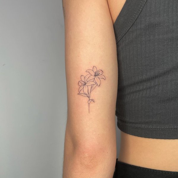 Thumbnail of cbf46z-mvik-0c258461e3b74f4c 0