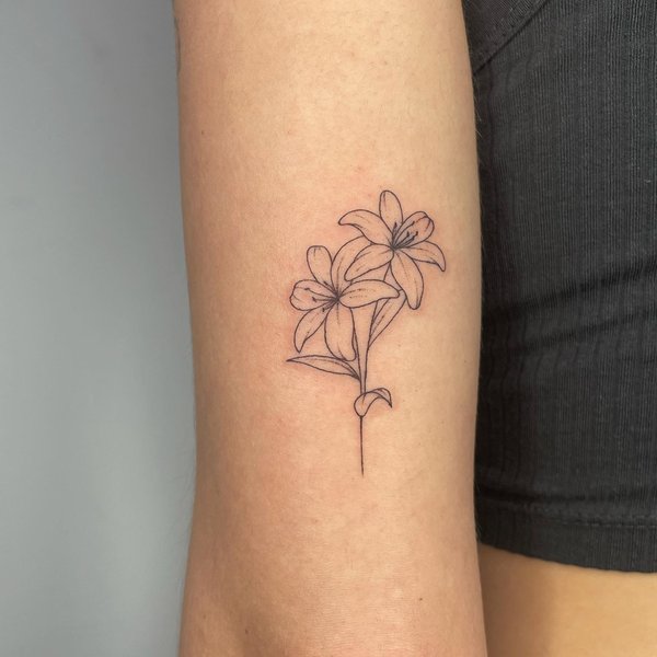 Thumbnail of cbf46z-mvik-0c258461e3b74f4c 1