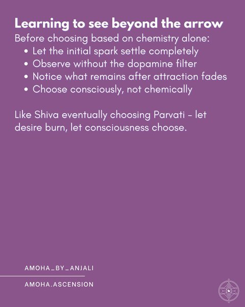 Thumbnail of p-dpxk4ahcp2n-0c7f85f19129414b 10