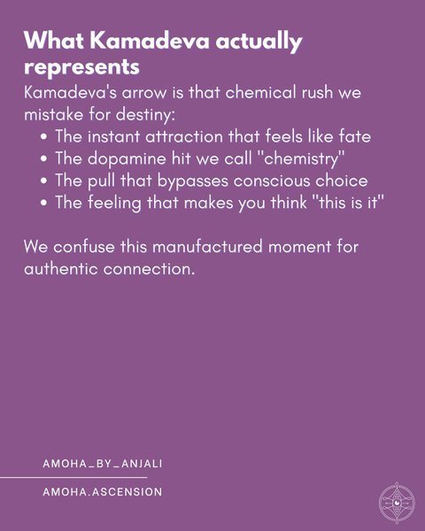 Thumbnail of p-dpxk4ahcp2n-0c7f85f19129414b 5