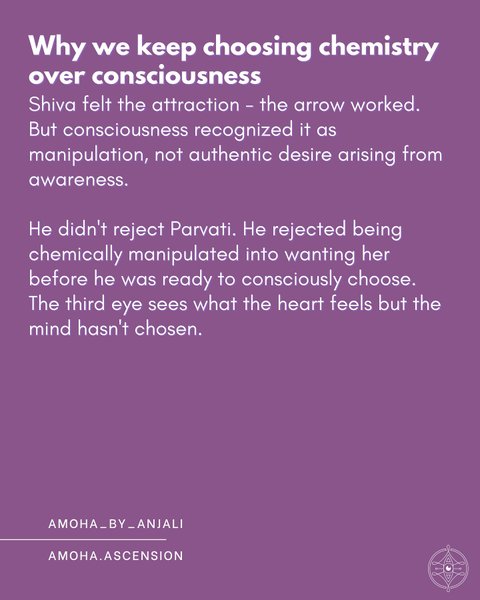 Thumbnail of p-dpxk4ahcp2n-0c7f85f19129414b 6