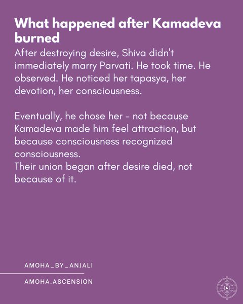 Thumbnail of p-dpxk4ahcp2n-0c7f85f19129414b 7