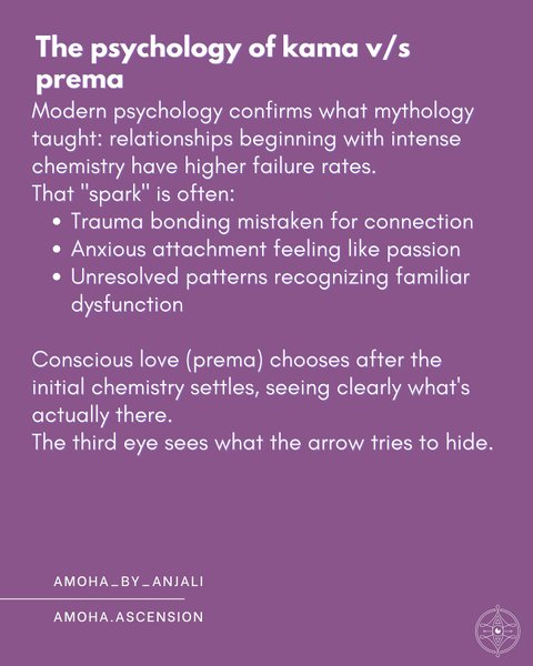 Thumbnail of p-dpxk4ahcp2n-0c7f85f19129414b 8