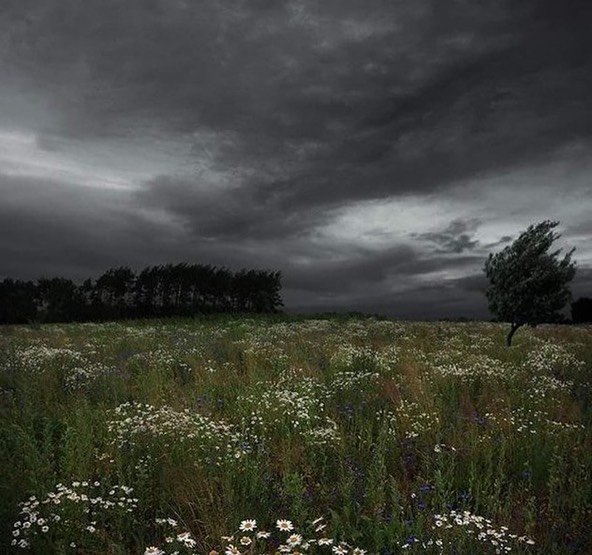 Thumbnail of p-ckqqtowaubc-0cd3170ca18d43d7 2