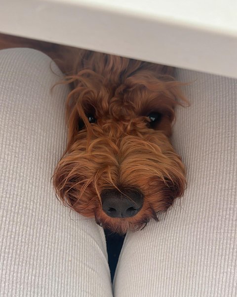 Thumbnail of p-da9irkgscsw-0ce7e16935184ccd 12