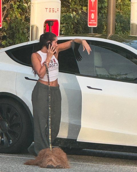 Thumbnail of p-da9irkgscsw-0ce7e16935184ccd 13