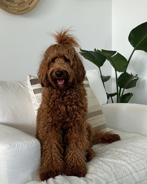 Thumbnail of p-da9irkgscsw-0ce7e16935184ccd 17