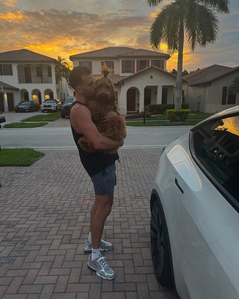 Thumbnail of p-da9irkgscsw-0ce7e16935184ccd 19