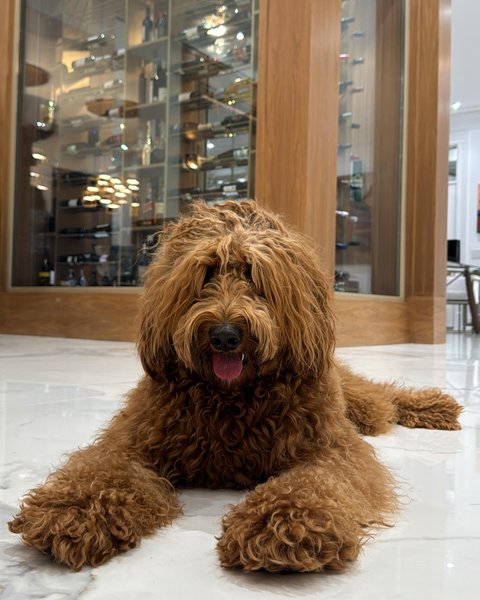 Thumbnail of p-da9irkgscsw-0ce7e16935184ccd 3