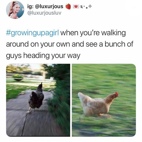 Thumbnail of vh-pu-0d278f7029af48d3 8