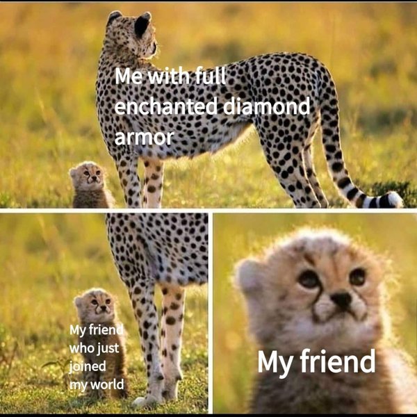 Thumbnail of p-b7eg1rllmyq-0d5120d6f8ea459c 0