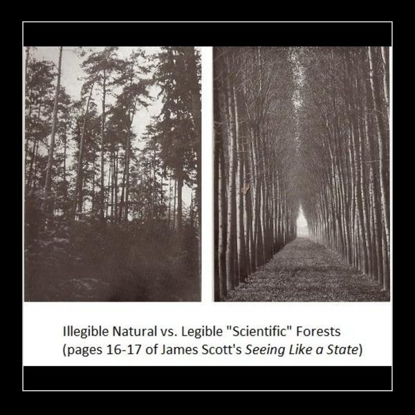 Thumbnail of p-dgqwxbkmkkd-0d62ed655efa408a 11