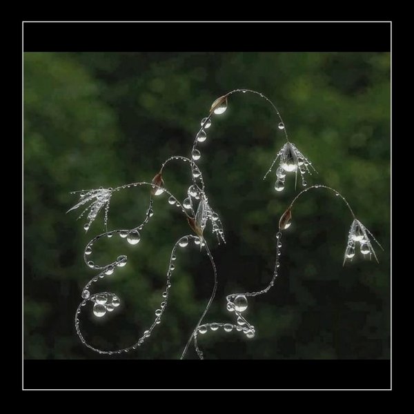 Thumbnail of p-dgqwxbkmkkd-0d62ed655efa408a 4