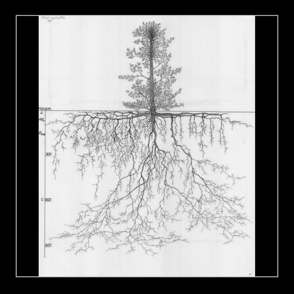 Thumbnail of p-dgqwxbkmkkd-0d62ed655efa408a 9