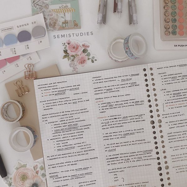 Thumbnail of p-ccvs829bbol-0d63ddf0208949f6 1