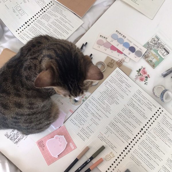 Thumbnail of p-ccvs829bbol-0d63ddf0208949f6 2