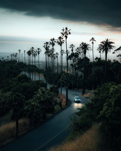 Thumbnail of cac46-elmws-0d713f1f5033448d 0