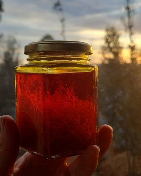 Thumbnail of p-cqgu3plnmav-0d7a4b73af0e418e 1