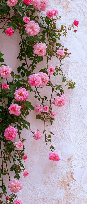 Thumbnail of www-x-com-thepinkmuse-status-1854233906561646841-0d83000b4ec2406f