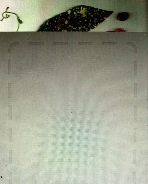 Thumbnail of b-g872qaroz-0d9a9985abbb47b4 3