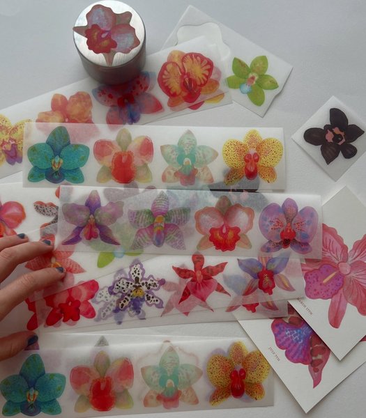 Thumbnail of p-dl1b8ghvhbu-0dc63e84f45d4d0c 0