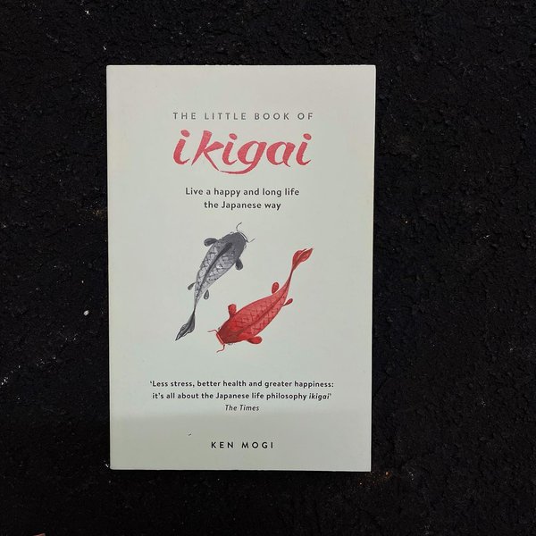 Thumbnail of p-cnxtqtigzbd-0df4e664fa2844d2 3