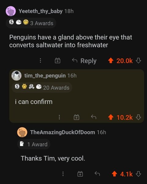 Thumbnail of p-cd9jilgjqql-0df95f965ad34923 1