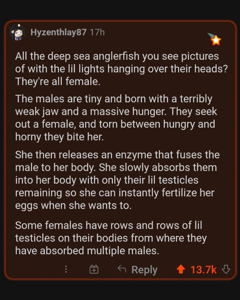 Thumbnail of p-cd9jilgjqql-0df95f965ad34923 3