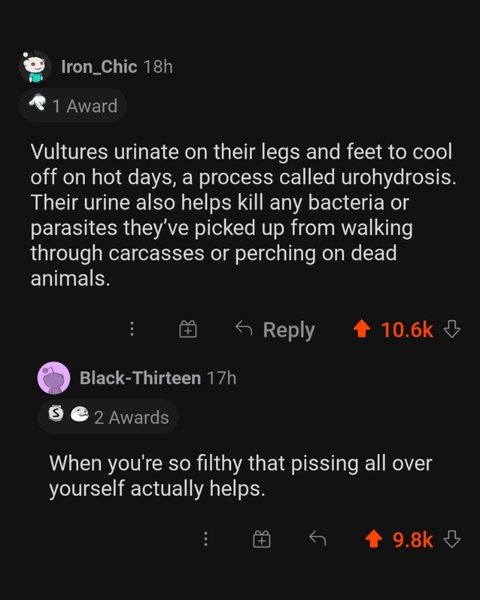 Thumbnail of p-cd9jilgjqql-0df95f965ad34923 4