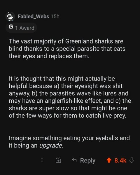 Thumbnail of p-cd9jilgjqql-0df95f965ad34923 6