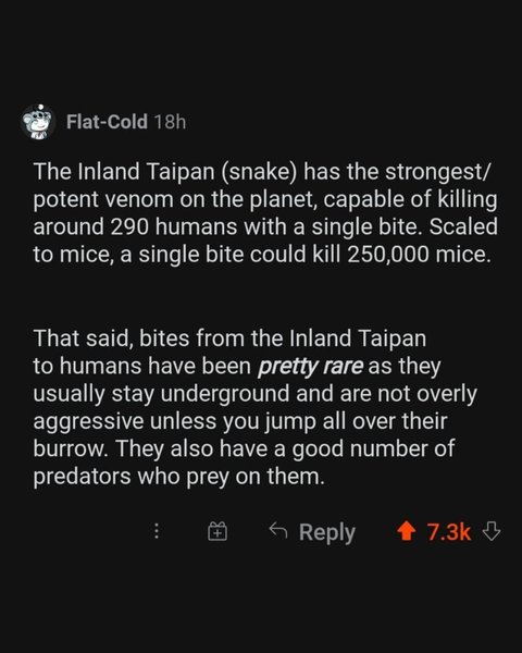 Thumbnail of p-cd9jilgjqql-0df95f965ad34923 7