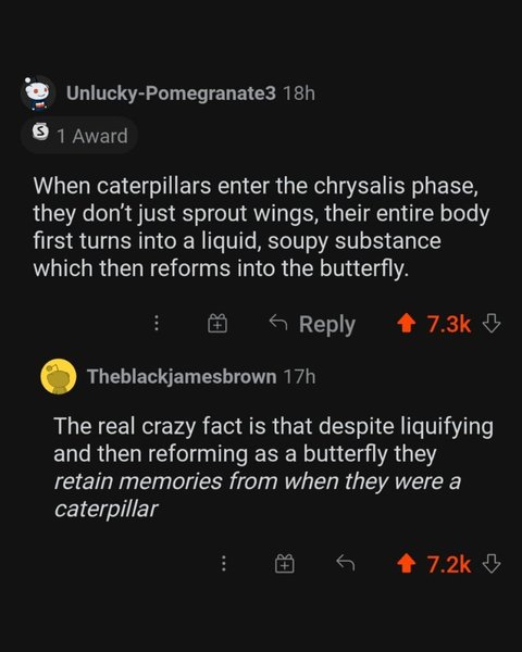 Thumbnail of p-cd9jilgjqql-0df95f965ad34923 8