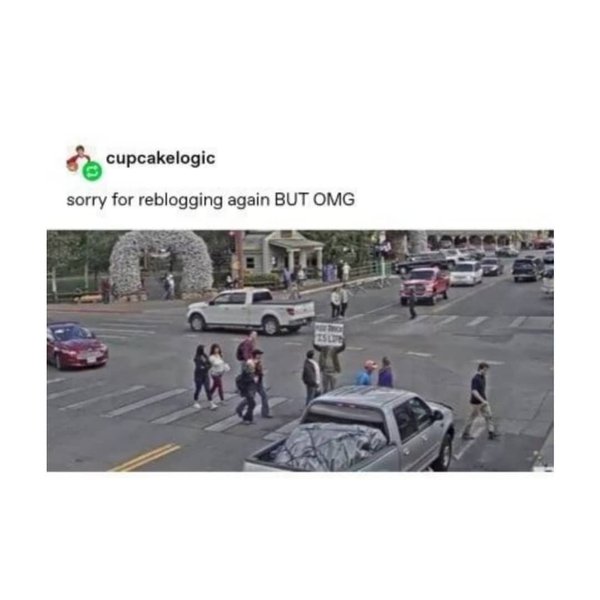 Thumbnail of p-b5gxrool3kw-0dfe5d575371445c 6