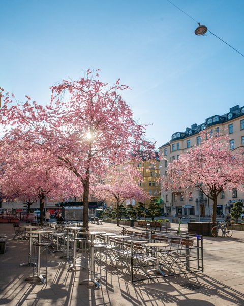 Thumbnail of c6jpz-3oo72-0e5e3b06266e4501 0