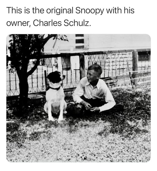 Thumbnail of www-instagram-com-p-dqzv3madx-p 0