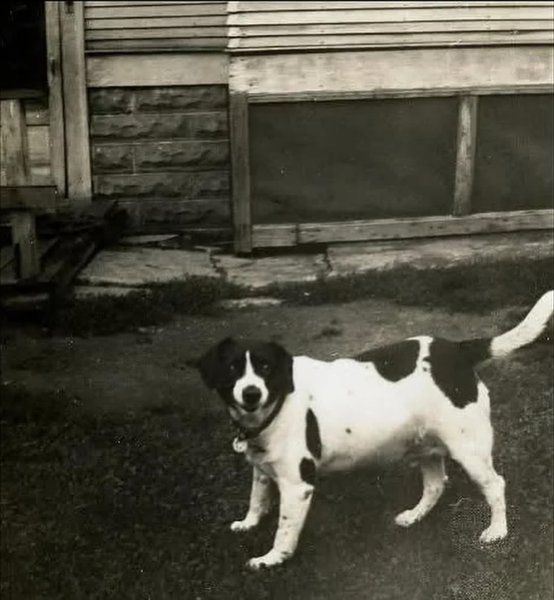 Thumbnail of www-instagram-com-p-dqzv3madx-p 1