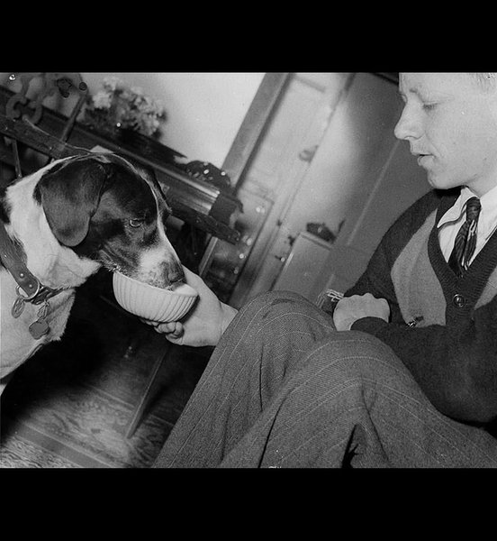 Thumbnail of www-instagram-com-p-dqzv3madx-p 3