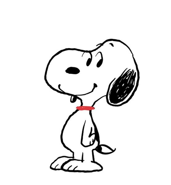 Thumbnail of www-instagram-com-p-dqzv3madx-p 5