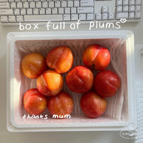 Thumbnail of p-cjnqgcibdrg-0e75ee45e56b423b 2