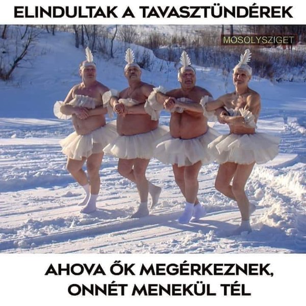 Thumbnail of p-brh4qyogscd-0e7a793db6654dc4 4