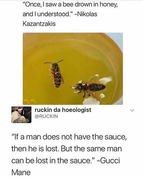 Thumbnail of p-b2e7gxilfmo-0e89dcf1b2084013 0